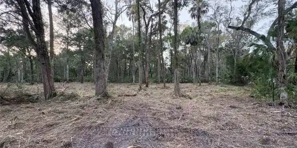 Image 4 Image 4