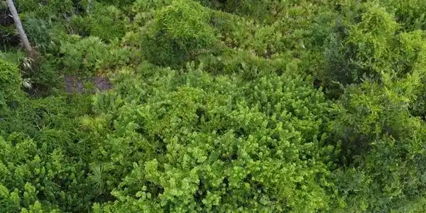 Image 4 Image 4