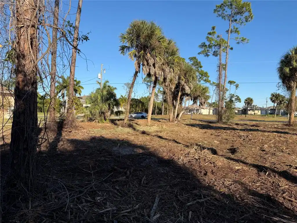 Image 1 Image 1