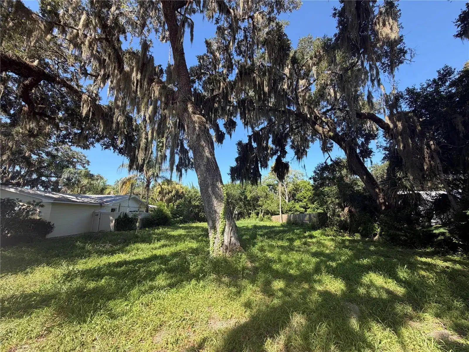Image 1 Image 1