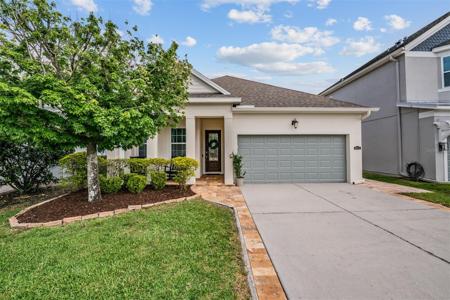 8115 CHAMPIONS FOREST WAY