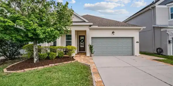 8115 CHAMPIONS FOREST WAY