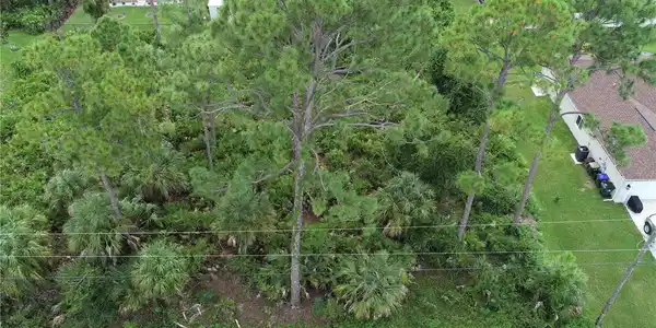 Image 4 Image 4