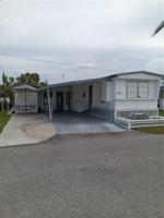 234 PALM
