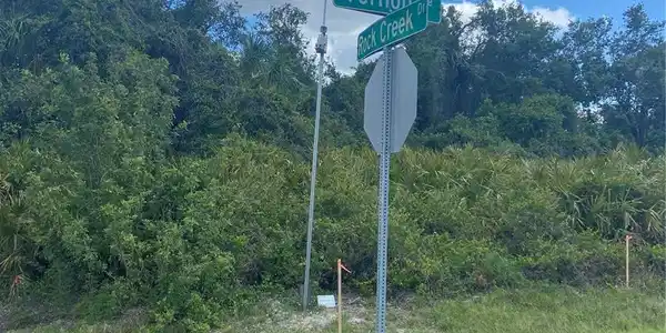 Image 2 Image 2