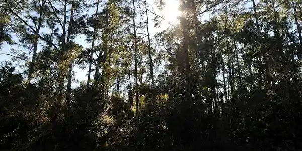 Image 3 Image 3