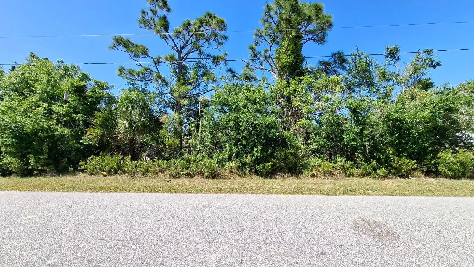 Image 1 Image 1