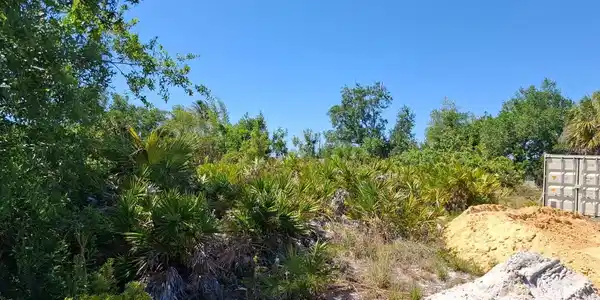 Image 3 Image 3