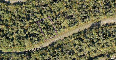 1127226126 LARGELEAF STREET