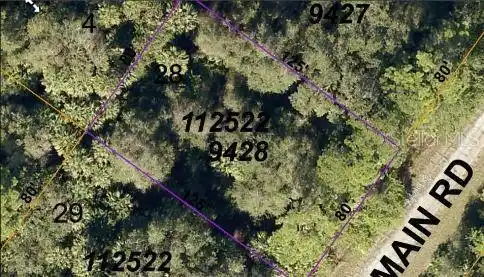 Image 4 Image 4