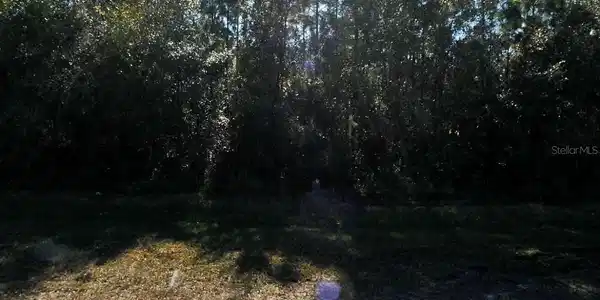 Image 3 Image 3