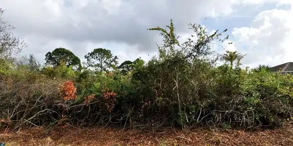 Image 3 Image 3