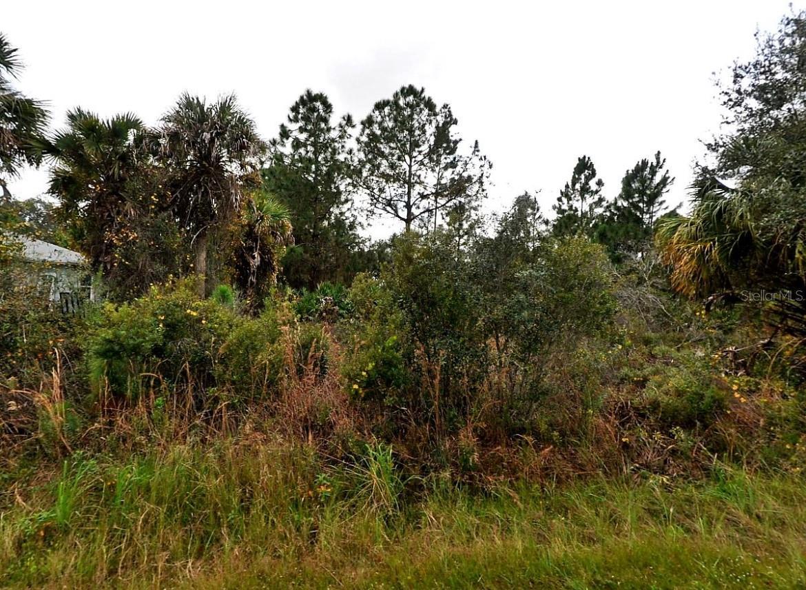 Image 3 Image 3
