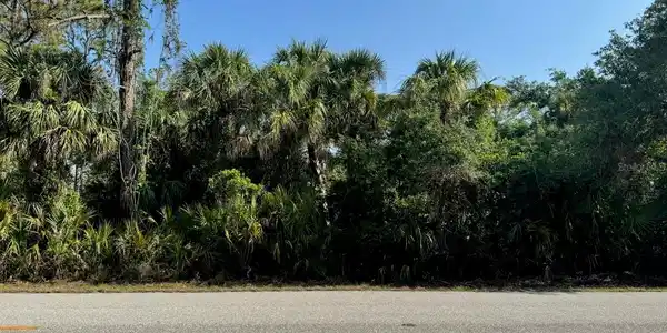 14258 CHAMBERLAIN