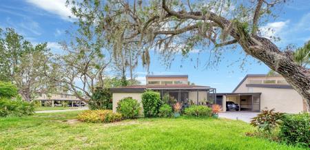 680 WHITE PINE TREE