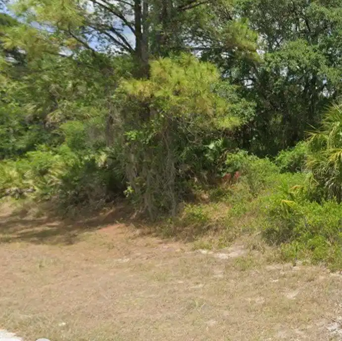 Image 1 Image 1