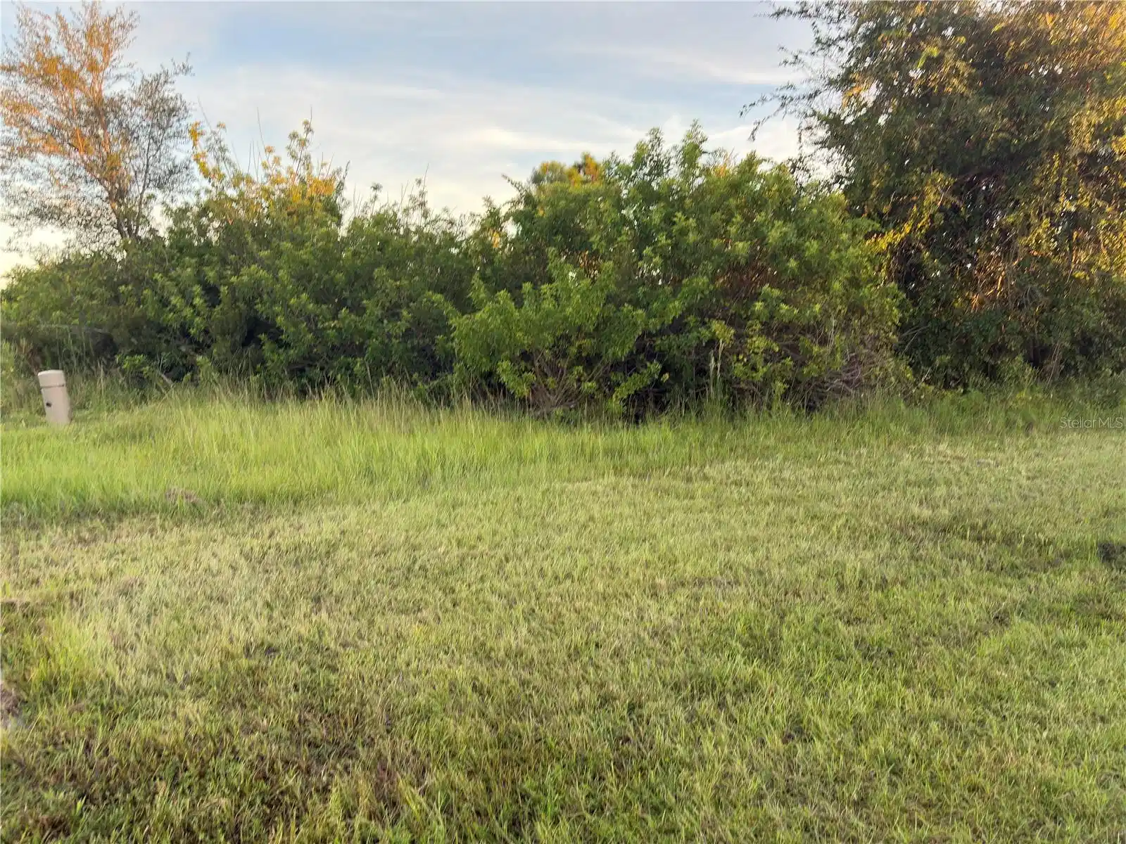 Image 1 Image 1