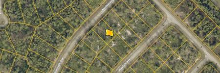 Lot 6 MARLBOROUGH AVENUE
