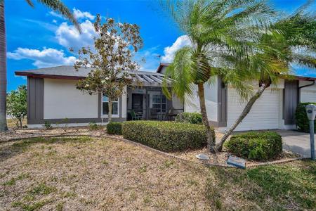 215 PERSIMMON