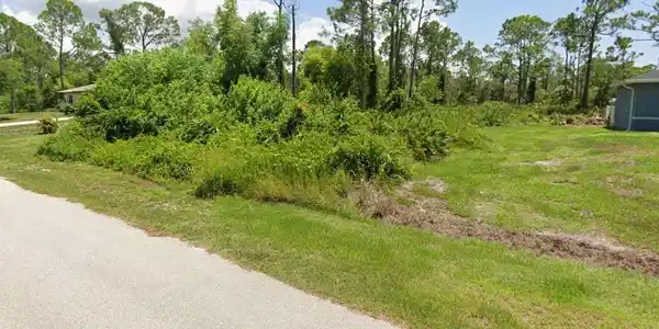 Image 4 Image 4