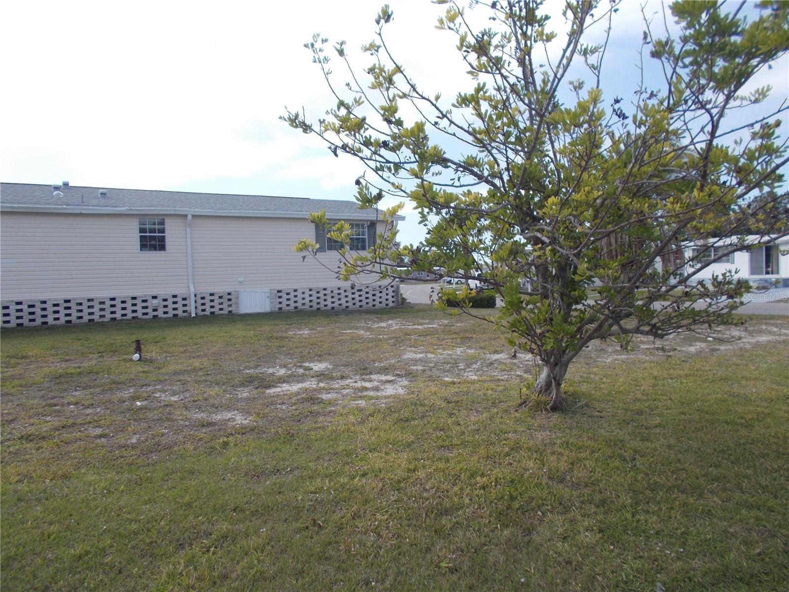 Image 4 Image 4