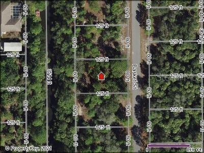 Lot 41 BASKET STREET