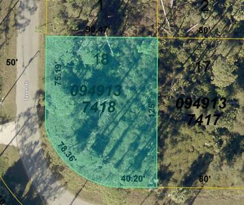 Lot 18 SENATE AVENUE