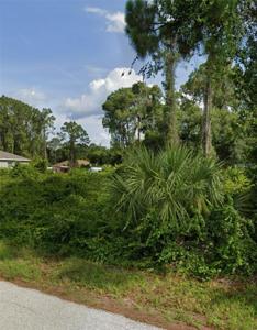 KNOTTY PINE AVENUE