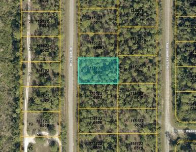 LOT 8 BLOCK 2266 BLUELEAF DRIVE