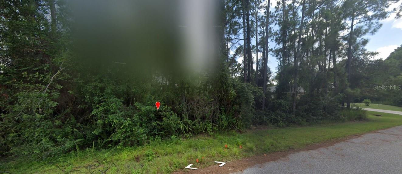 Image 1 Image 1