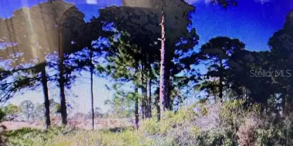 Image 4 Image 4