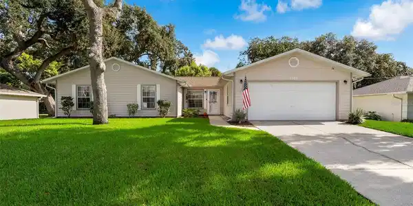 3311 NEEDLE PALM DRIVE