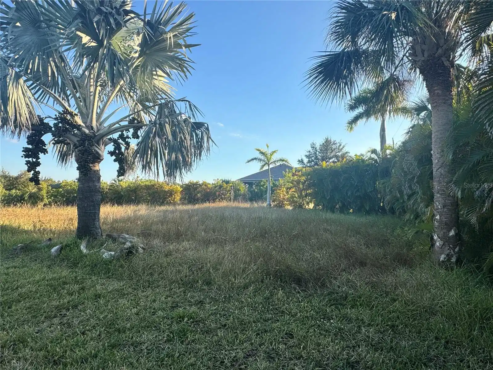 Image 1 Image 1