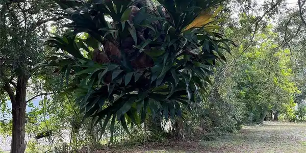 Image 3 Image 3
