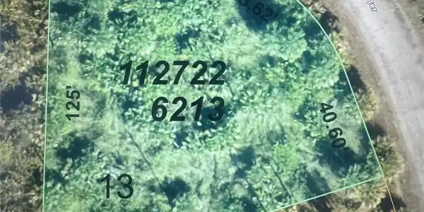 Image 4 Image 4