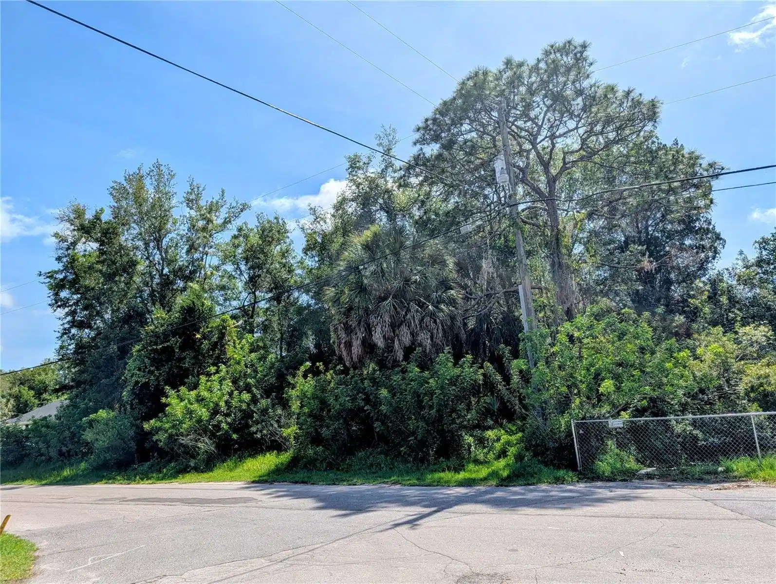 Image 1 Image 1