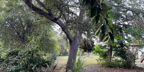Image 4 Image 4