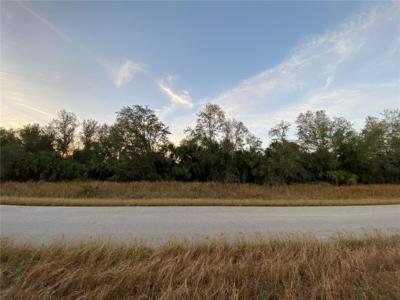WHALING ROAD