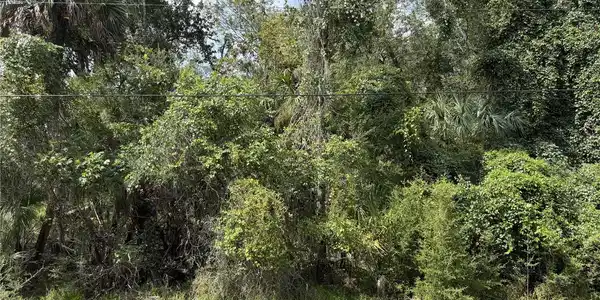 Image 2 Image 2