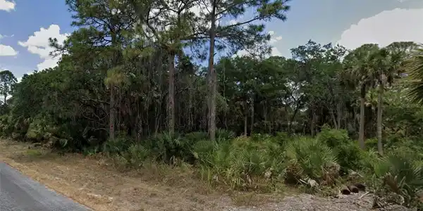 Image 3 Image 3