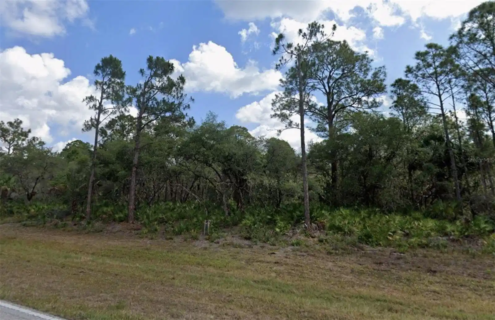 Image 1 Image 1