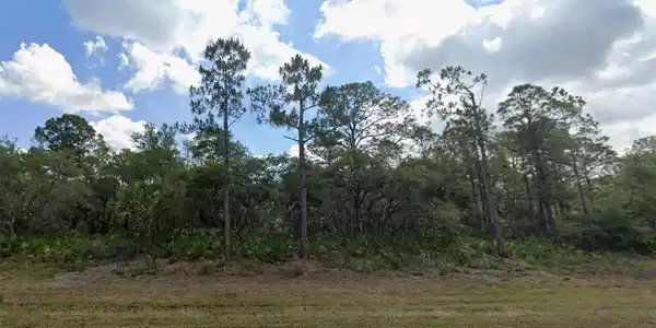 Image 3 Image 3