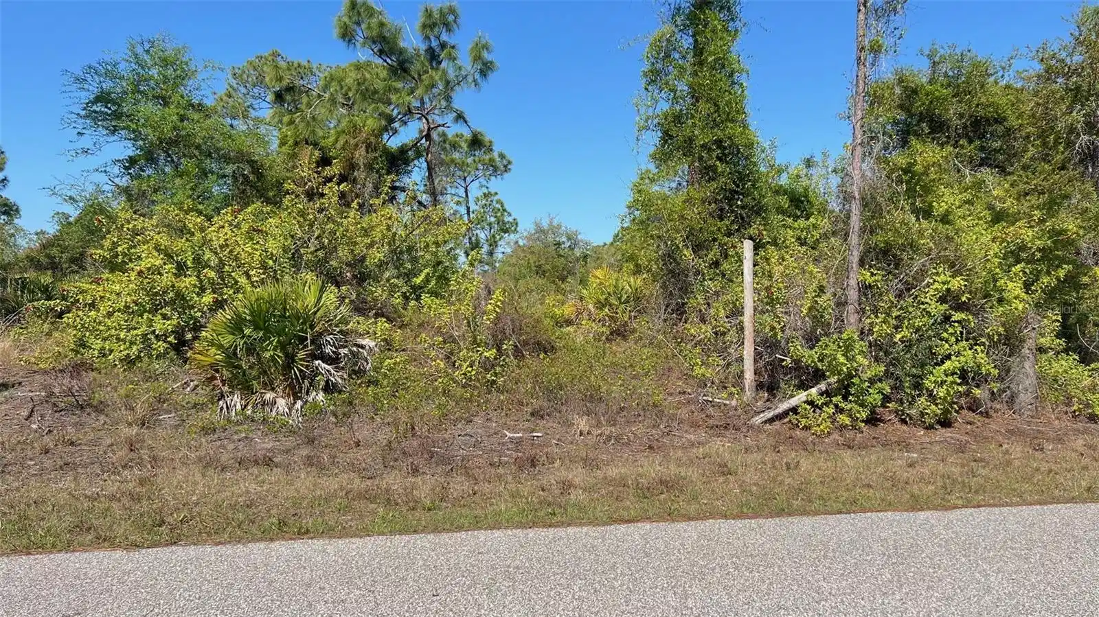 Image 1 Image 1