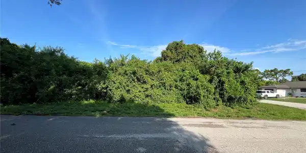 Image 4 Image 4