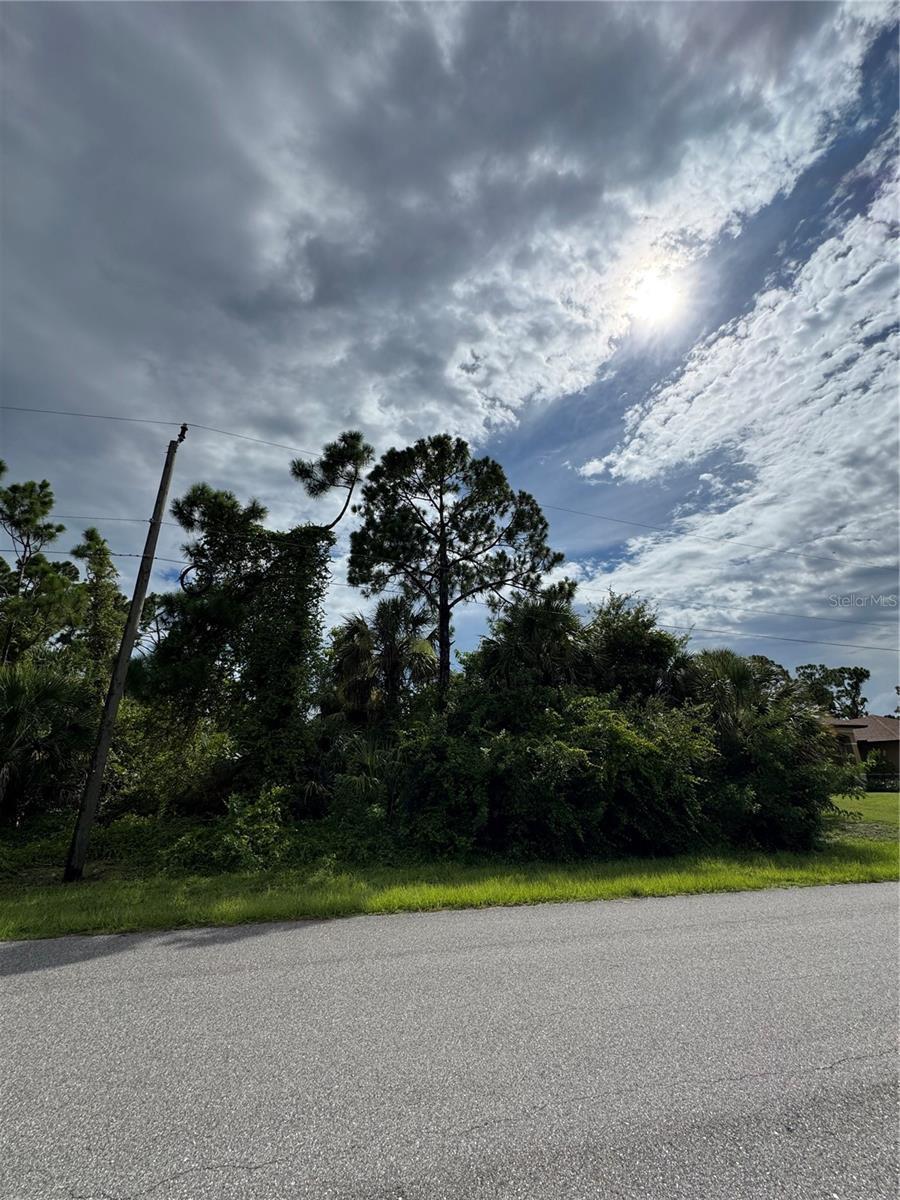 Image 1 Image 1