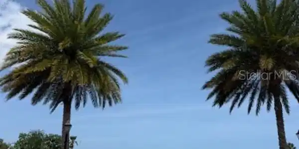 Image 4 Image 4