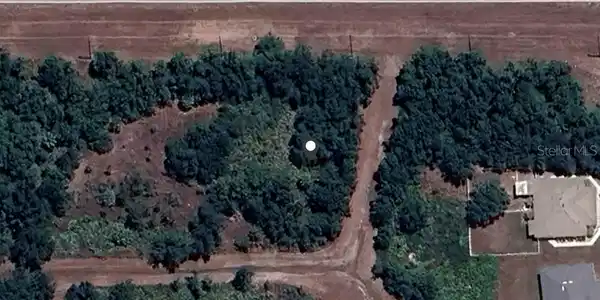Image 4 Image 4