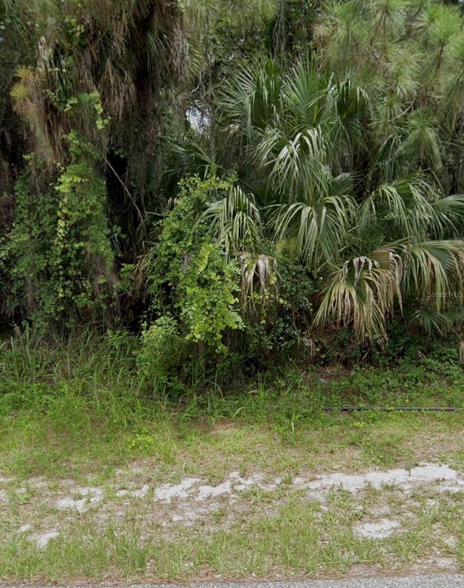 Image 1 Image 1