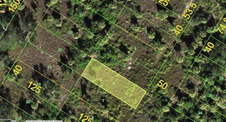 1273 DEWEY DRIVE
