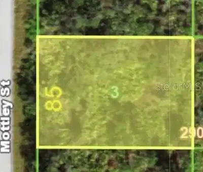 Image 1 Image 1